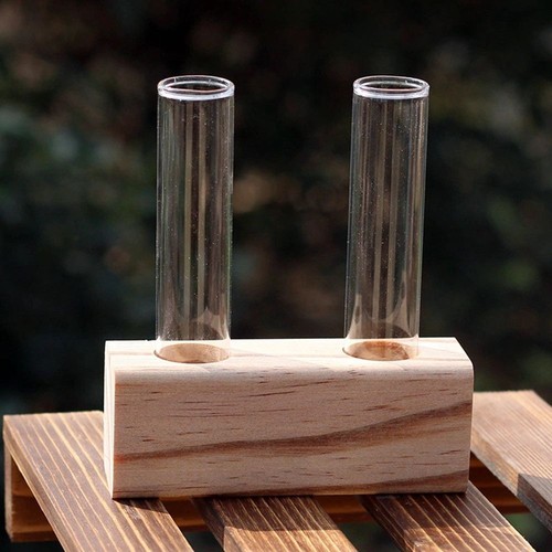 Plant propagation station - plant,