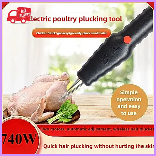 Portable electric chicken - portable,