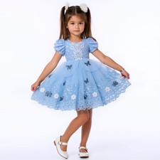 Sky Blue Cinderella Butterfly
