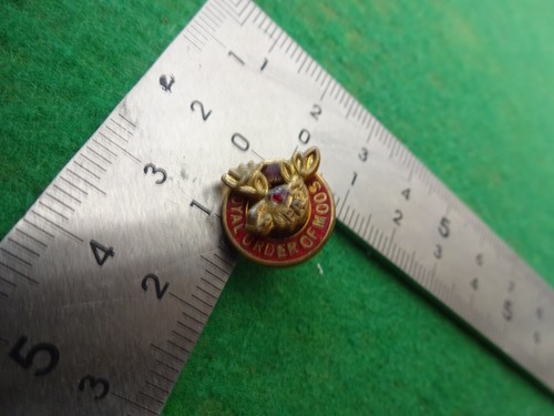Tiny vtg loyal order - of, moose