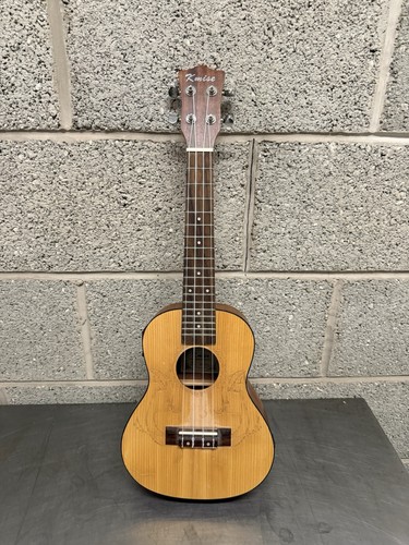 Kmise 24a electro - electro, acoustic