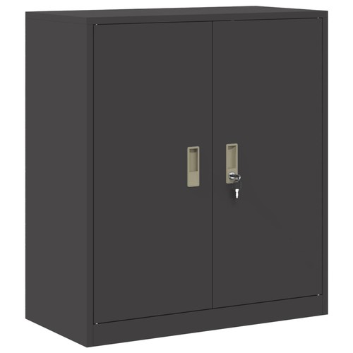 Storage cabinet steel - cabinet, office