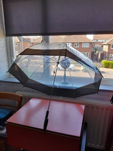 Clear plastic domed umbrella - clear,