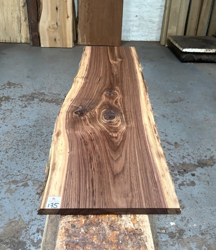 American walnut - american,