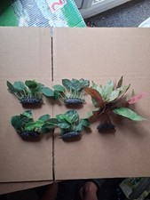 Aquarium plants artificial