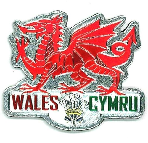 Welsh fridge magnet - fridge, dragon
