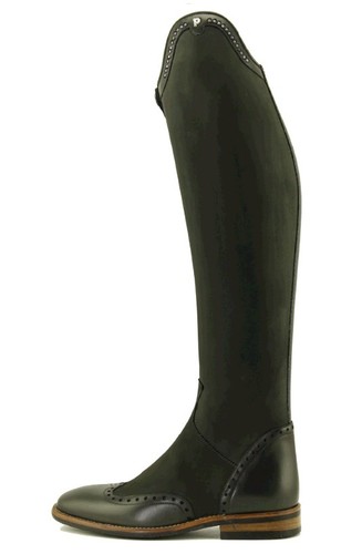 Petrie significant dressage - petrie,