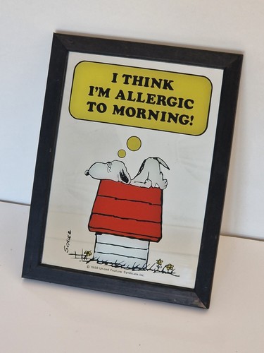 Vintage snoopy mirror peanuts - vintage,