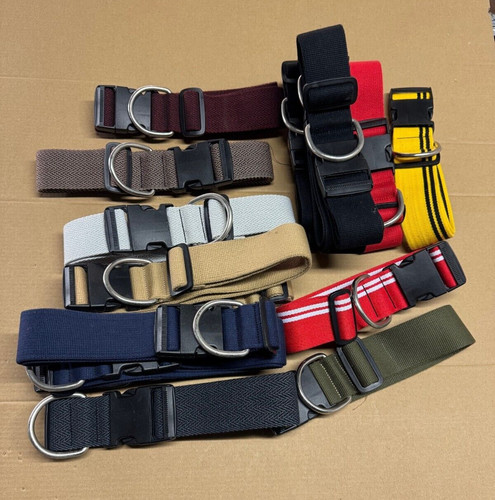Adjustable dog collars job lot - dog,