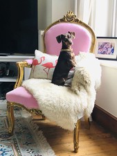 Louis XV Style French Gilt