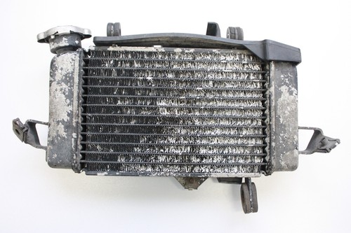 2010 yamaha yzf r125 cooling - 2010,