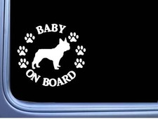 Baby on Board Frenchie L513 6"