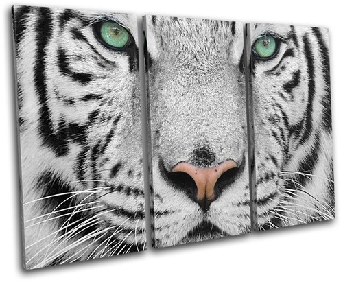 Siberian tiger green - siberian,