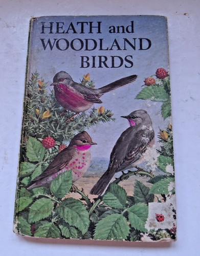Ladybird lot of 4 bird - -,