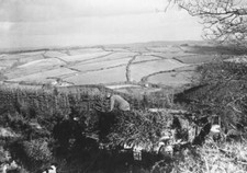 Men Coombe Down Wood loading