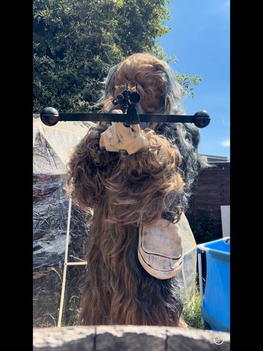 Star wars chewbacca costume - star,