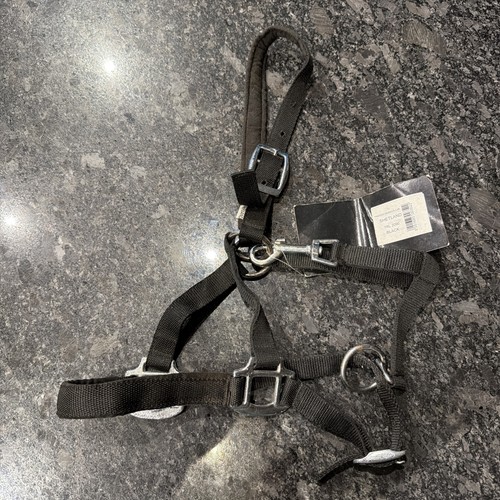 Black padded nylon - black, headcollar