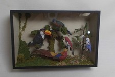 Dolls House Mniature LARGE BIRD DISPLAY IN CASE ALL ARTISAN HANDMADE