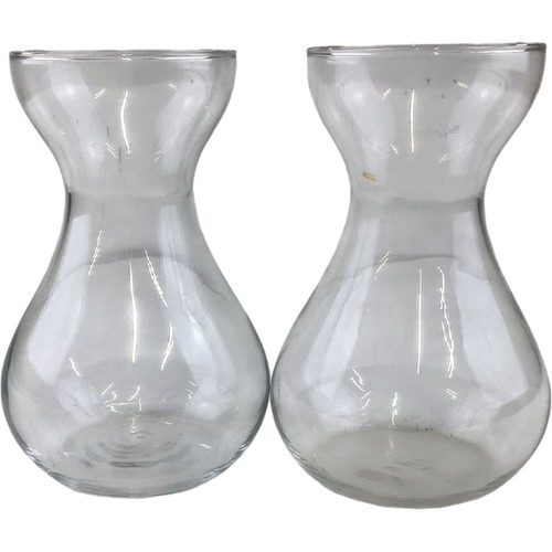 Pair clear glass - glass, hyacinth