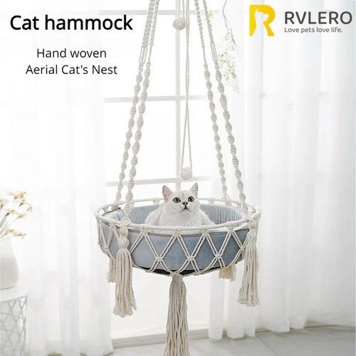 Winter cat hammock hanging - winter,