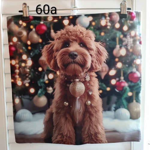 Christmas apricot cockapoo - christmas,