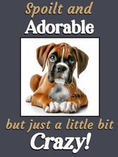 Boxer Dog Funny Flexible Fridge Magnet Christmas Gift