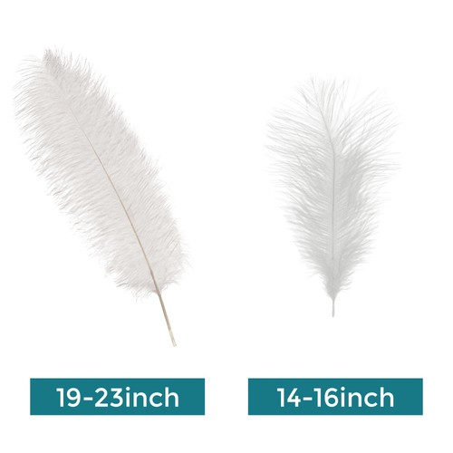 Large ostrich feathers for - feathers,