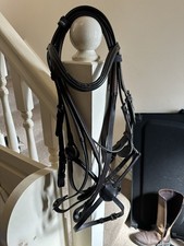 Aviemore Grackle Bridle Pony