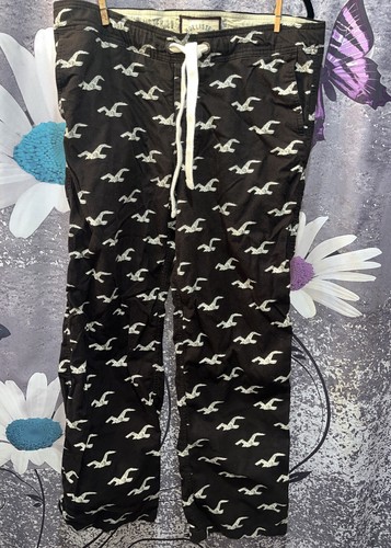 Hollister mens seagull - seagull, logo