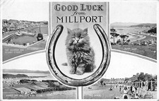 FAMILY HISTORY - POSTCARD -