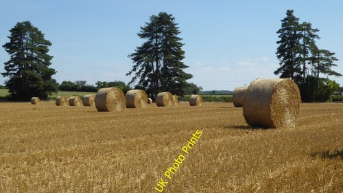 Photo 6x4 straw bales high - straw,