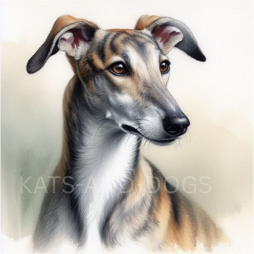 Lurcher watercolour painting - lurcher,