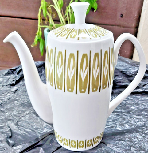 Rare shelley fine bone - fine,