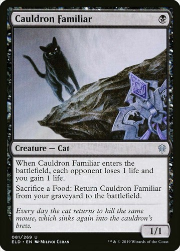 Cauldron familiar - 1x,