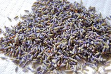 organic lavender Provence certified pure organic  from chateau de la gabelle 