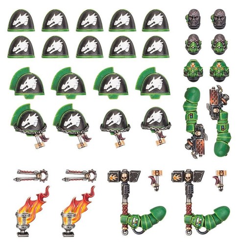 Bits salamanders primaris - salamanders,