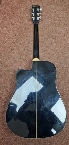 Tanglewood evolution tw28 - evolution, slbk