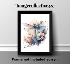 DRAGONFLY INSECT A4 PRINT