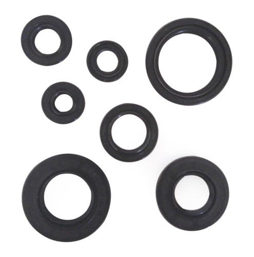 Complete engine motor - motor, oil