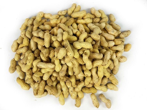 Chubby peanuts shells - peanuts, in