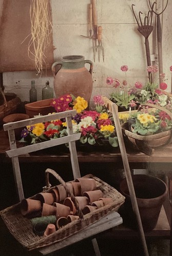 Potting shed birthday - birthday, ~