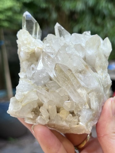 Clear quartz himalayan cluster - quartz,