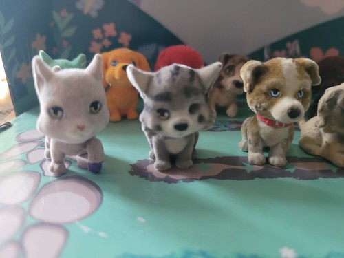 Puppy pocket lot of 13 - puppy,