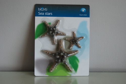 Aquarium marine coloured - aquarium,