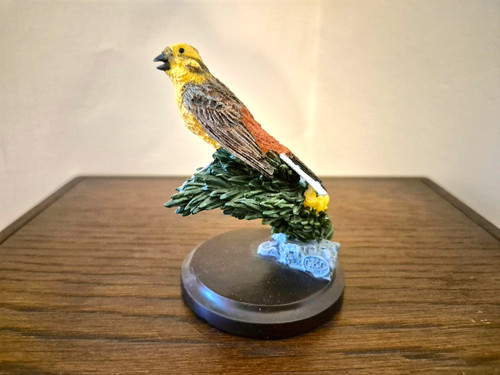Andy pearce the - pearce, bird