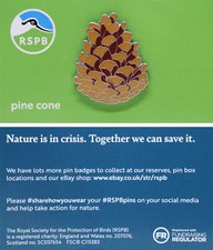 RSPB Pin Badge New Brand NIIC Pine Cone P03123