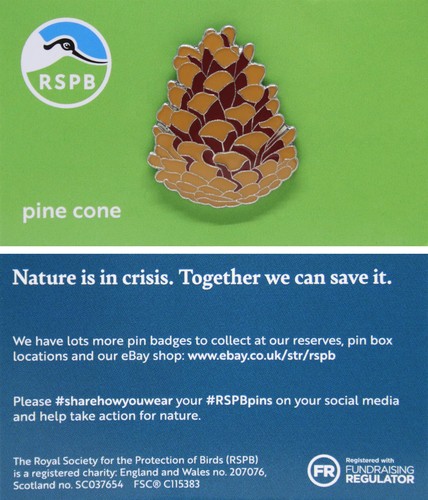 Rspb pin badge new brand - pin,