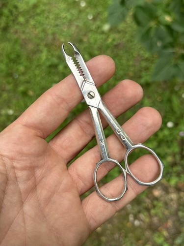 Scissors sugar tongs art - &,