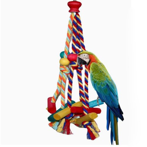 Bird toys parrot - parrot, for