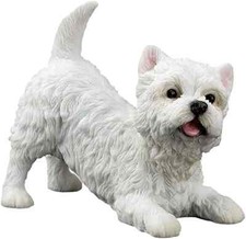 West Highland White Terrier